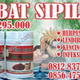 Illustration for article titled Cara Mengobati Sipilis Dengan Bunga Kenanga